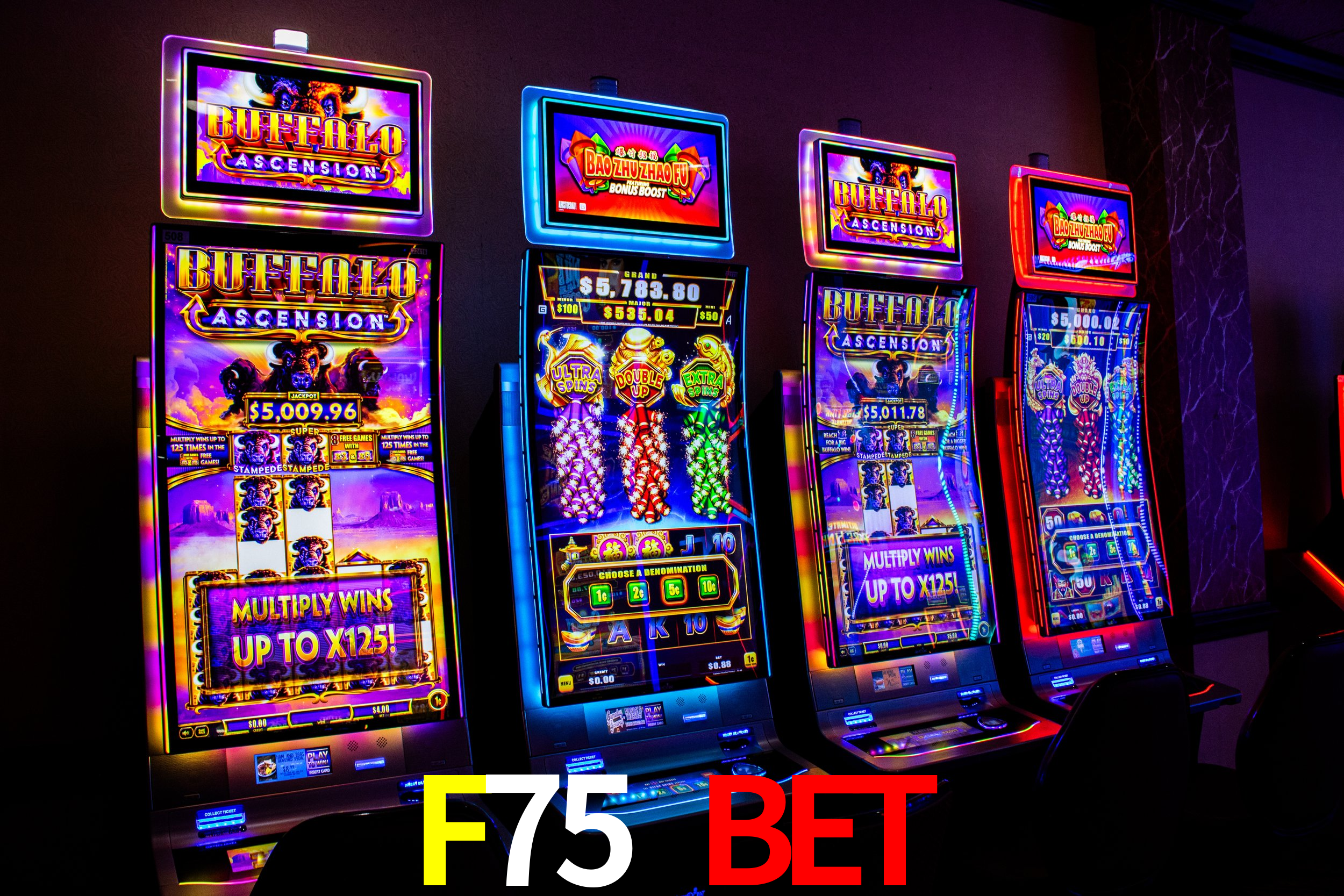 Live Casino F75 Bet